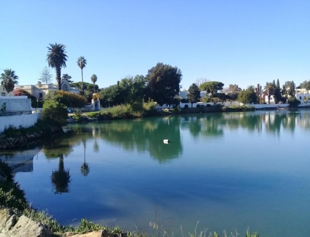Appartement Num3 Carthage Byrsa Douar ech Chott Buitenkant foto